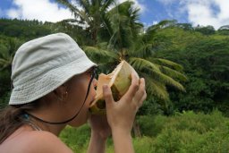 Dobývání kokosu