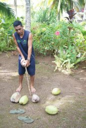 Dobývání kokosu